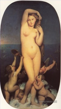  nus Tableaux - Vénus Anadyomène Nu Jean Auguste Dominique Ingres